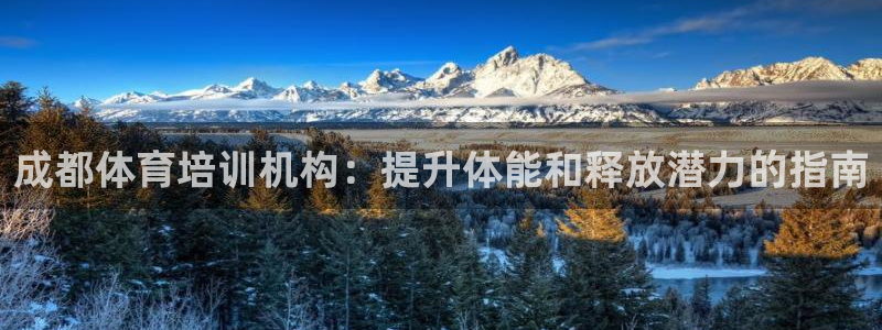 富联官方网站下载：成都体育培训机构：提升体能和释放潜