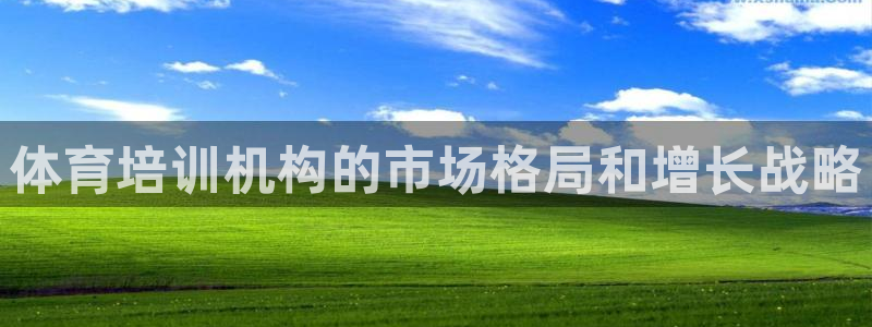 富联平台叩 411O31 富联：体育培训机构的市场格