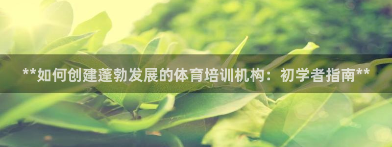 富联平台李 411O31 富联：**如何创建蓬勃发展