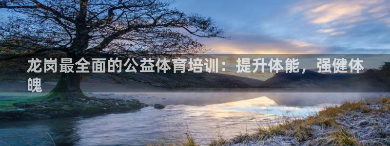 富联官方网站入口查询：龙岗最全面的公益体育培训：提升