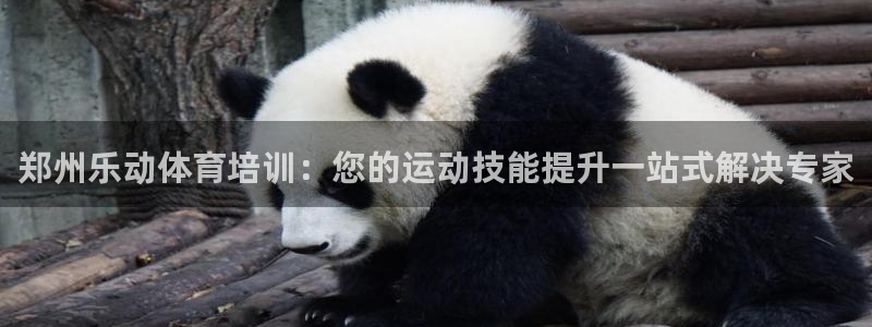 富联平台用户登陆：郑州乐动体育培训：您的运动技能提升