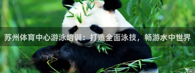 富联平台总代理是谁：苏州体育中心游泳培训：打造全面泳