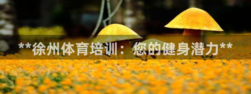 富联娱乐够7O777：**徐州体育培训：您的健身潜力