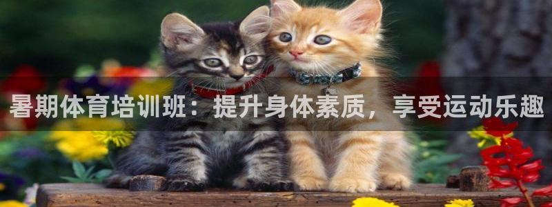 富联丰地产交易平台：暑期体育培训班：提升身体素质，享