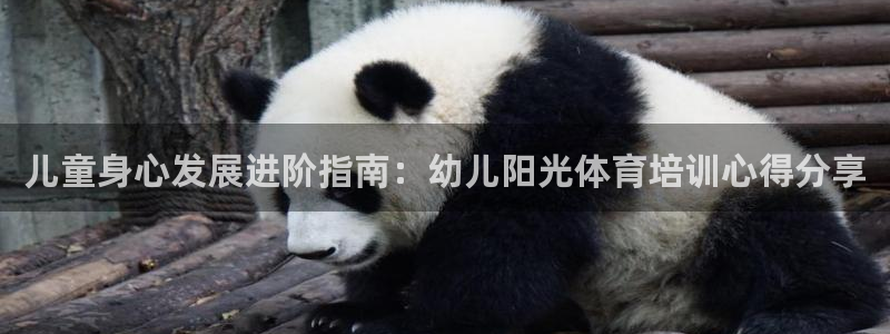 富联集团做什么的：儿童身心发展进阶指南：幼儿阳光体育