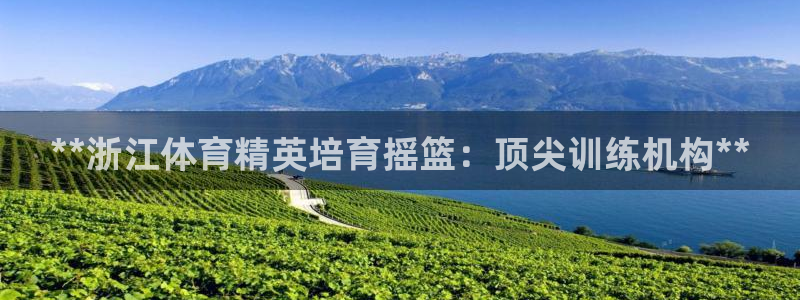 香港富联集团：**浙江体育精英培育摇篮：顶尖训练机构