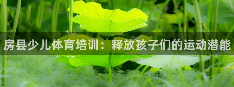 富联科技上市了吗今天：房县少儿体育培训：释放孩子们的