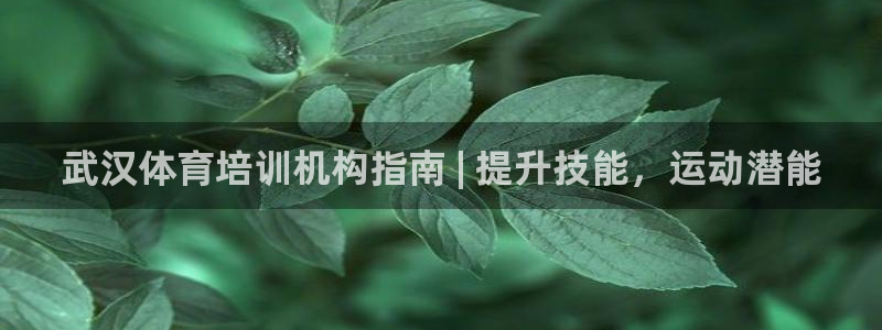 富联平台代理注册流程：武汉体育培训机构指南 | 提升