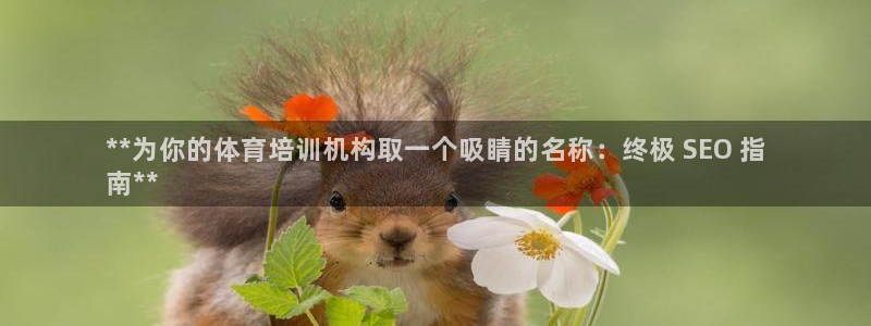 富联平台响7O777：**为你的体育培训机构取一个吸