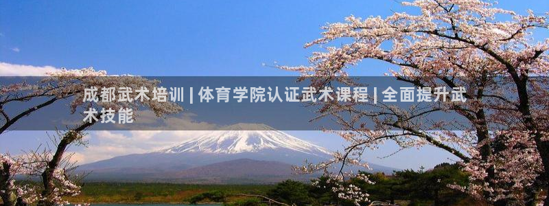 富联平台注册登录：成都武术培训 | 体育学院认证武术