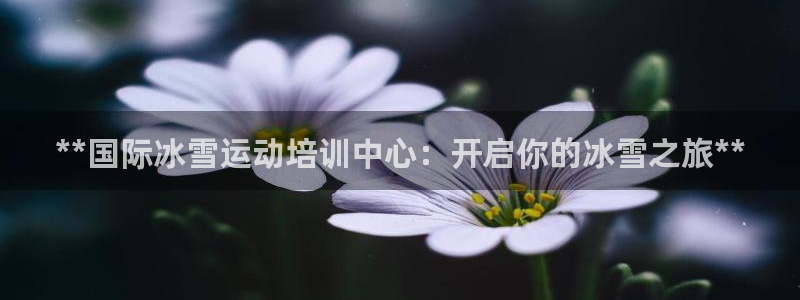 富联是什么：**国际冰雪运动培训中心：开启你的冰雪之