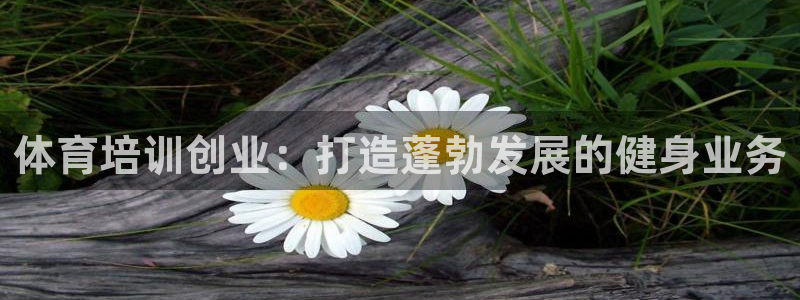 富联包装电话是多少：体育培训创业：打造蓬勃发展的健身