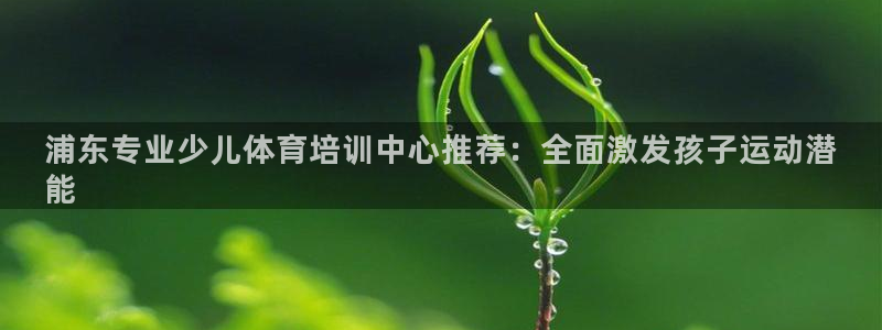 富联平台升 5O6917 平台：浦东专业少儿体育培训