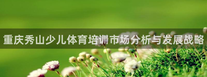富联平台挂机怎么操作：重庆秀山少儿体育培训市场分析与