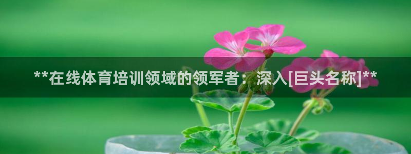 富联平台推 5O6917 富联：**在线体育培训领域