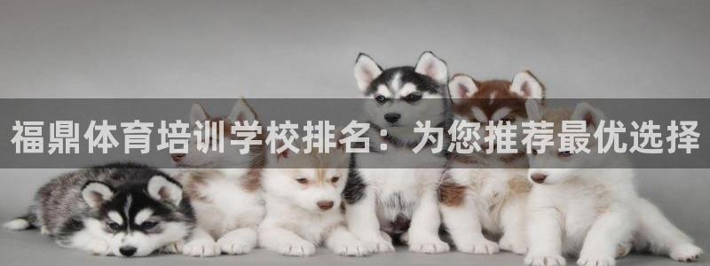 香港富联集团：福鼎体育培训学校排名：为您推荐最优选择