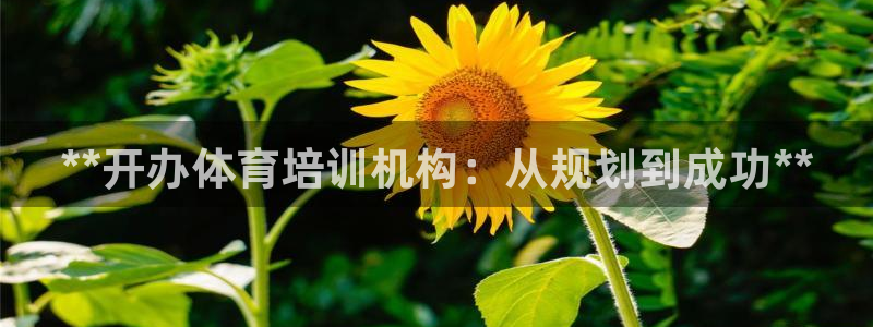 富联娱乐代理怎么做：**开办体育培训机构：从规划到成