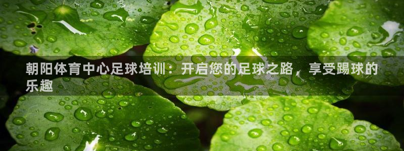 富联娱乐登录注册账号：朝阳体育中心足球培训：开启您的