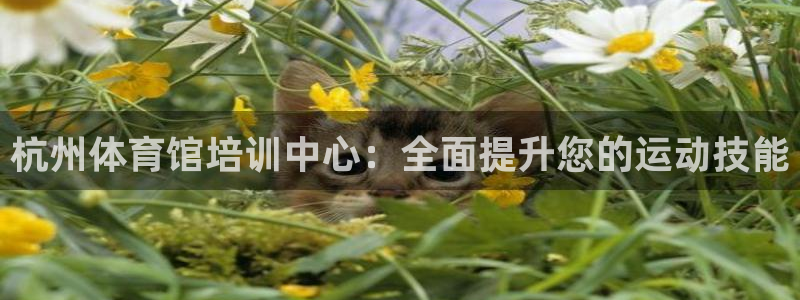 富联娱乐官方网站：杭州体育馆培训中心：全面提升您的运