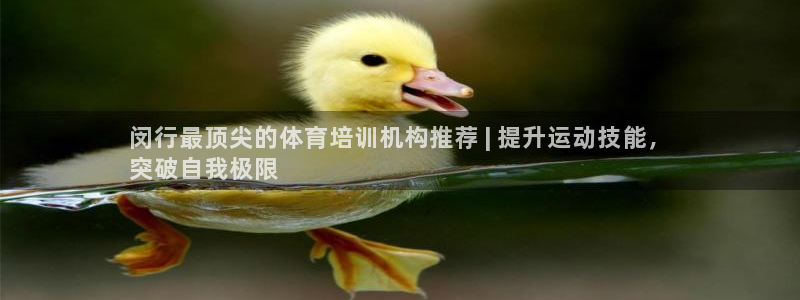 富联地产怎么样：闵行最顶尖的体育培训机构推荐 | 提