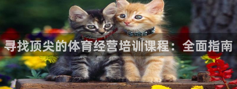 富联娱乐代 41IO31 娱乐：寻找顶尖的体育经营培