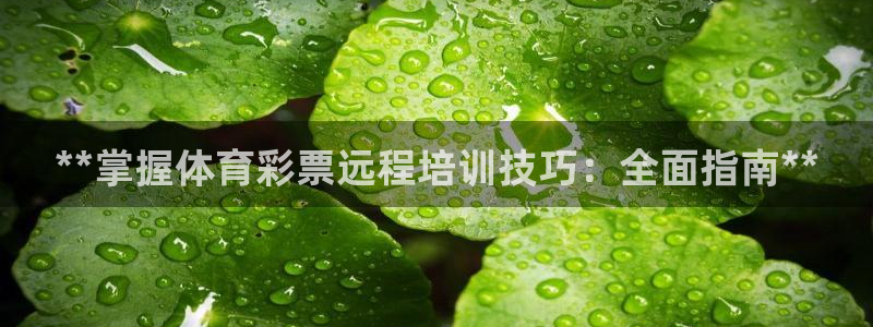 富联娱乐平台怎么样：**掌握体育彩票远程培训技巧：全