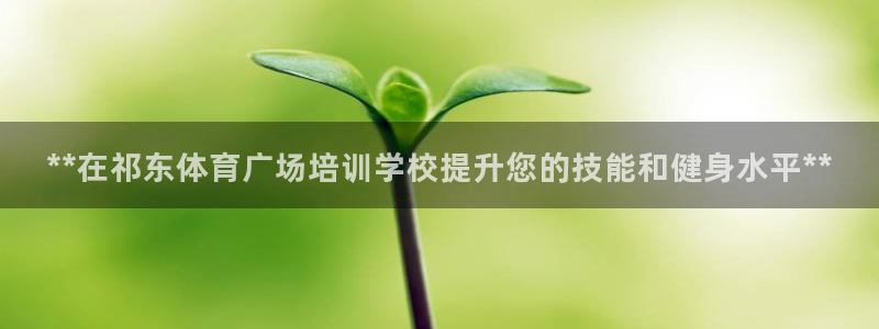 富联平台网站：**在祁东体育广场培训学校提升您的技能