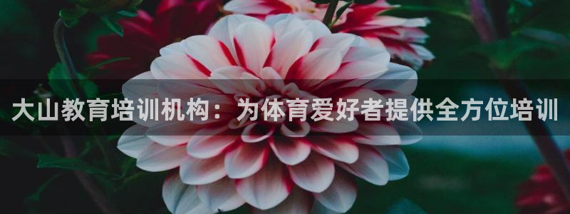 富联商城：大山教育培训机构：为体育爱好者提供全方位培