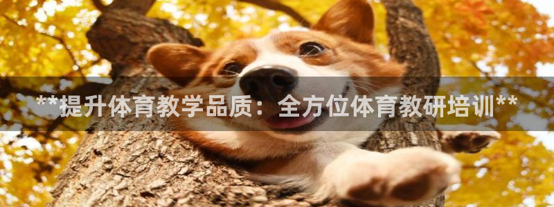富联娱乐真的吗：**提升体育教学品质：全方位体育教研