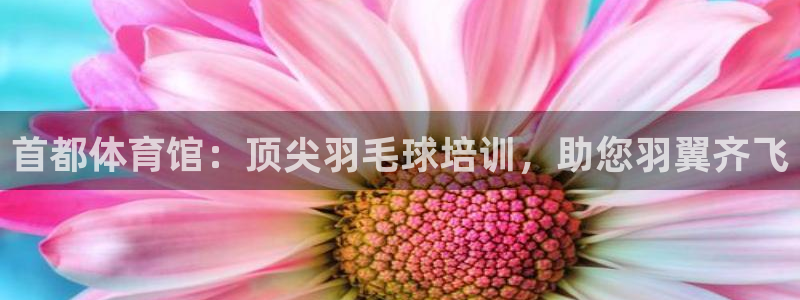 富联娱乐在线注册链接是什么：首都体育馆：顶尖羽毛球培