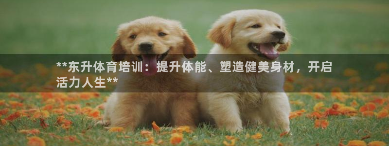 富联娱乐测速地址：**东升体育培训：提升体能、塑造健