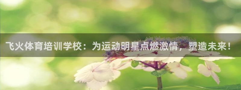 富联申购中签时间：飞火体育培训学校：为运动明星点燃激