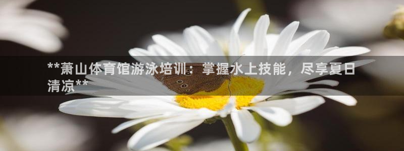 富联娱乐总代理电话：**萧山体育馆游泳培训：掌握水上