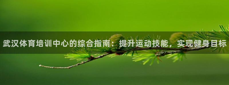 富联娱乐平台能挣到钱吗现在：武汉体育培训中心的综合指