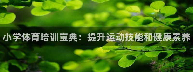 富联官方网站首页：小学体育培训宝典：提升运动技能和健