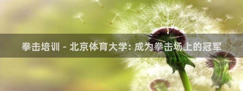 富联平台推 5O6917 富联：拳击培训 - 北京体