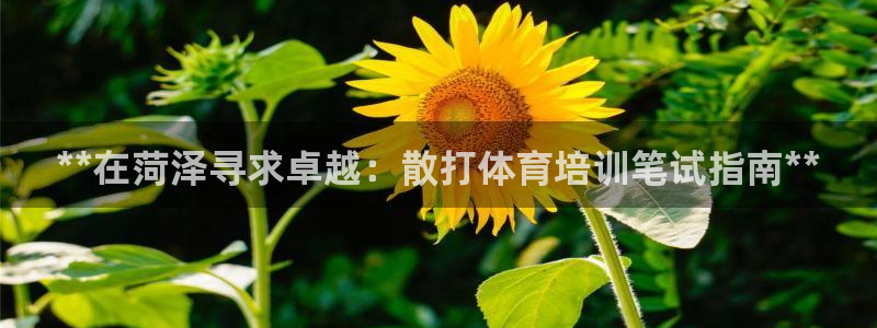 富联股份股票代码：**在菏泽寻求卓越：散打体育培训笔试指南*