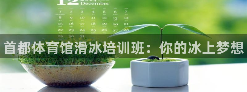 富联官网代理系列：首都体育馆滑冰培训班：你的冰上梦想