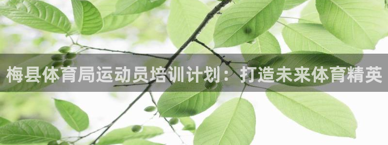 富联娱乐：梅县体育局运动员培训计划：打造未来体育精英
