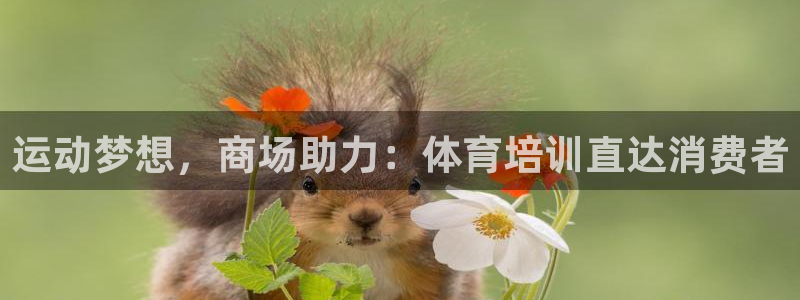富联平台网站是什么：运动梦想，商场助力：体育培训直达