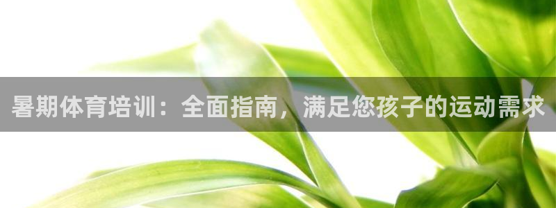 富联娱乐官方网站首页入口：暑期体育培训：全面指南，满足您孩子