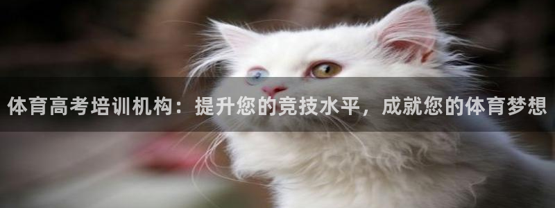 富联平台网站官网：体育高考培训机构：提升您的竞技水平