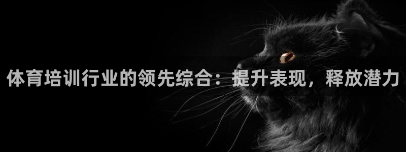 富联娱乐总代理是谁：体育培训行业的领先综合：提升表现