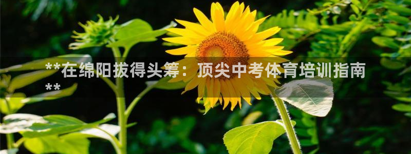 富联申购什么时候上市交易：**在绵阳拔得头筹：顶尖中考体育培