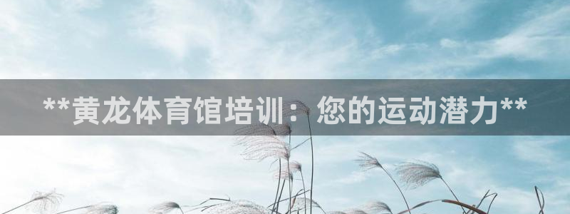 富联平台开户流程：**黄龙体育馆培训：您的运动潜力*