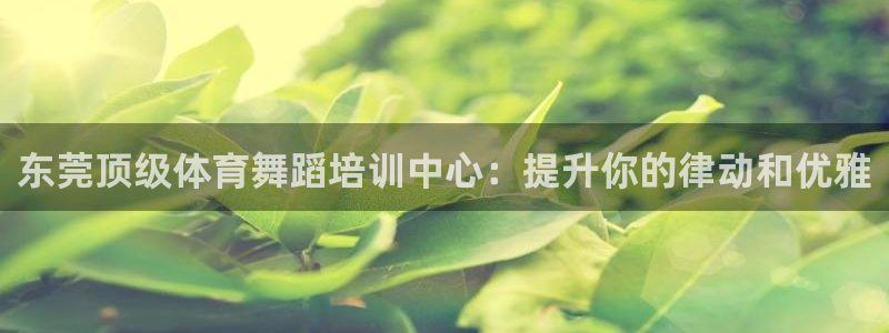 富联平台开户流程：东莞顶级体育舞蹈培训中心：提升你的