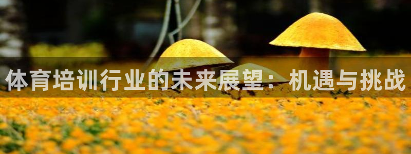 富联娱乐在线注册链接是什么意思：体育培训行业的未来展