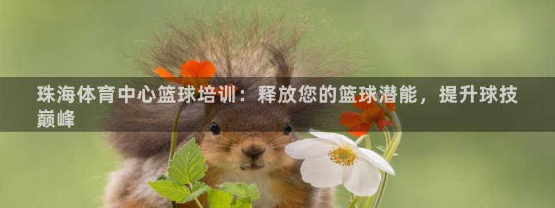 富联娱乐马 411O31 娱乐：珠海体育中心篮球培训