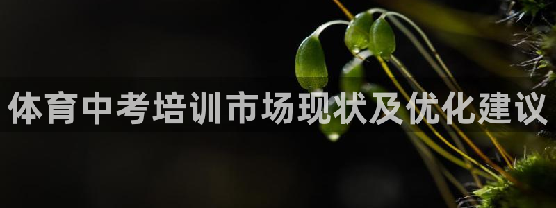 富联集团做什么的呀：体育中考培训市场现状及优化建议