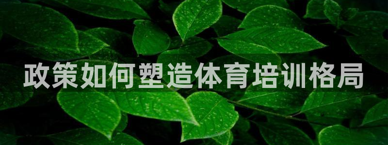 富联平台q665.786：政策如何塑造体育培训格局